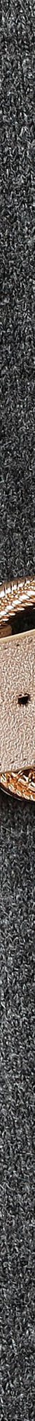 Ceinture élastiquée double boucle (beige) Ceinture élastiquée double boucle (beige)